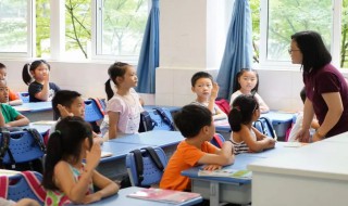 冬天蜜蜂兔子蝴蝶要冬眠吗?（冬天蜜蜂兔子蝴蝶要冬眠吗视频）