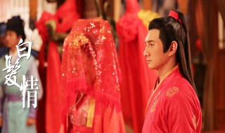 白发成亲是哪一集 白发第几集变成白发