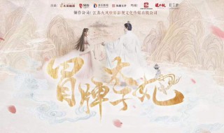 冒牌太子妃男主角 冒牌太子妃小说结局