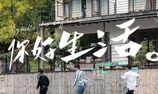 你好生活哪个台播出 你好生活哪个台播放