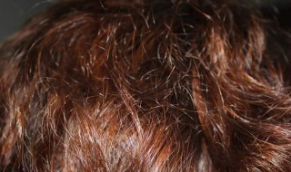 头发非常毛躁跟草一样怎么办 头发毛躁像草怎么打理