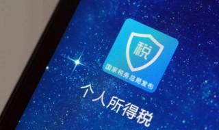 个人所得税密码格式怎么填写（个人所得税密码填写格式举例）