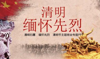 清明忆英烈感悟（清明忆先烈感想）