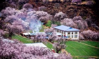 四月底是什么时候 四月底是什么时候四月底