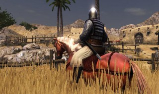 骑马与砍杀2是单机游戏吗(骑马与砍杀2是单机游戏吗还是网游)