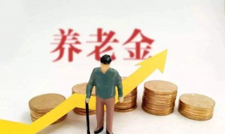 居民养老保险和基本养老保险的区别 居民基本养老保险和社保一样吗