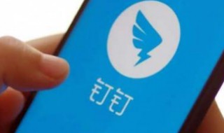 为什么手机钉钉申请进不了班级（钉钉进入不了班级）