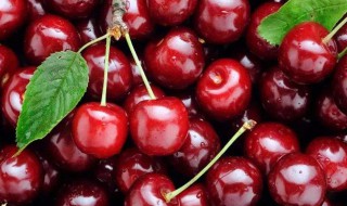 鹅肉和樱桃一起煮可以吗? 鹅和樱桃能一起吃吗