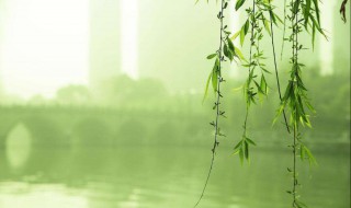 关于清明缅怀烈士的诗词 清明缅怀烈士的诗句