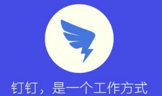 钉钉更换手机号后原来的群组还有吗 钉钉换手机号码了,以前的群怎么能恢复