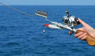 麦穗晚上闹窝吗? 麦穗闹窝无解