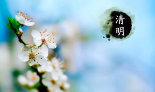 清明祭英烈怎样留言（清明祭英烈留言寄语大全）