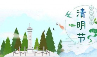 清明祭祖扫墓的文化内涵（清明祭祖扫墓的文化内涵是什么）