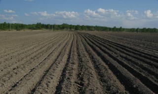 松嫩平原西部荒漠化成因 松嫩平原荒漠化主要原因