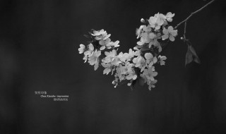 关于清明节祭奠英雄的诗句 关于清明节祭奠英雄的诗句古诗