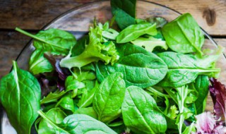 种子的生长过程怎么写（种子的生长过程怎么写简单）