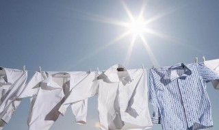 衣服机油渍清洗小妙招（衣服机油渍清洗小妙招渍清洗小妙招）