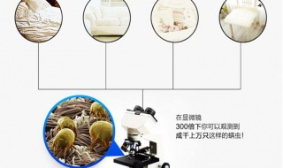 怎么除螨 怎么除螨虫最有效方法床上