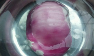 什么花不能浇洋葱水(洋葱不宜是哪种化肥)