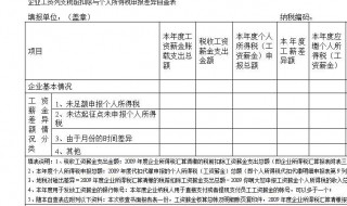 利润是负数企业所得税怎么申报（利润为负数企业所得税）