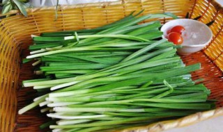 闰月年移栽韭菜有什么说法 闰月能不能栽韭菜