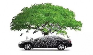 汽车上的鸟粪如何去除不伤车漆 汽车上的鸟粪如何去除不伤车