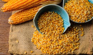 储备粮食买什么（储备什么粮食最好）