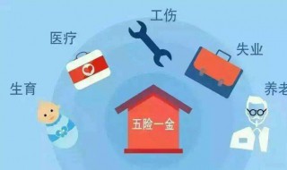 社保个人缴费和单位缴费的区别(深圳社保个人缴费和单位缴费的区别)