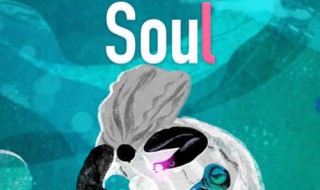 soul获取失败怎么回事 soul获取用户信息