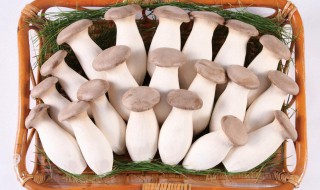 在家可种食用菌吗 家里咋种食用菌