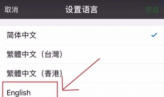 微信怎么让别人使用微信翻译（微信怎么让别人使用微信翻译文字）