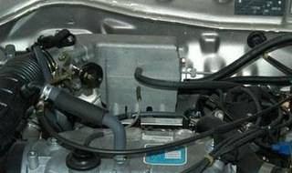 夏利车防冻液在哪儿（8个月的杜宾还能立耳嘛）