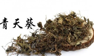 紫红色青天葵功效与作用 紫红色青天葵功效与作用图片