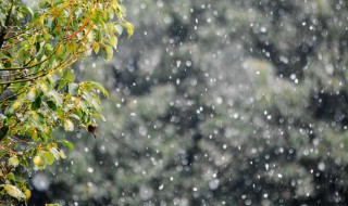 雨夹雪什么天气 雨夹雪冷吗