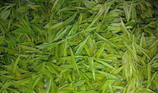 白茶桂花茶的功效与作用 白茶和桂花作用