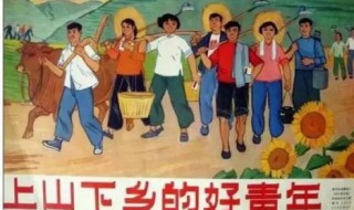 知识青年下乡有什么意义（知识青年下乡有什么意义吗）