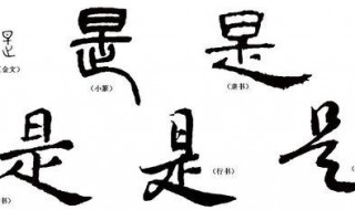 诚能如是的是是什么意思(诚能如是的是翻译)