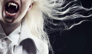 吸血鬼mod怎么升级 吸血鬼mod如何升级