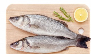 野钓鲫鱼配方 钓鱼诱鱼最快配方