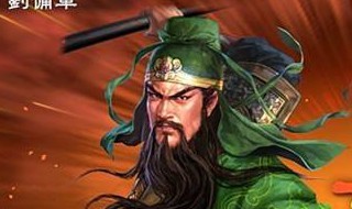 冰鸟超级三国志攻略秘籍（冰鸟游戏三国志加强版攻略）