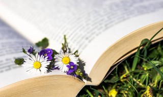 你好春天发朋友圈说说（你好春天发朋友圈说说图片）