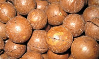 为什么夏威夷果吃起来有一股奶油味（为什么夏威夷果吃起来有一股奶油味呢）