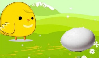 神奇的鸡蛋壳的故事 神奇的鸡蛋壳的故事视频