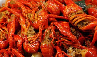 小龙虾怎么挑选 小龙虾怎么挑选虾黄多的