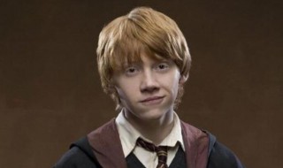 罗恩有没有杀死狮子 罗恩有没有杀死狮子的能力