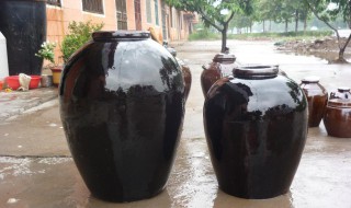 怎么挑选水缸（怎么挑选水缸养鱼）