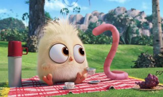 野生红蚯蚓养殖技巧 野生红蚯蚓养殖技巧视频