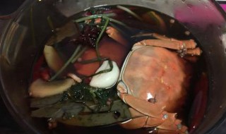 糟卤醉熟蟹做法窍门（糟卤醉蟹的做法）