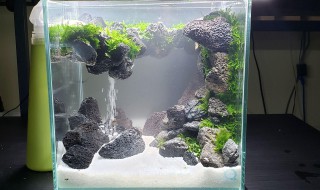 鱼缸流沙怎么做的 鱼缸流沙怎么做的图片