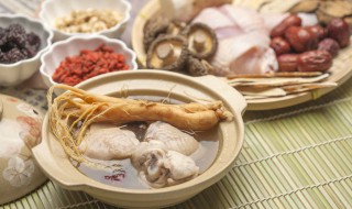 人参鸡肉汤 人参炖鸡汤